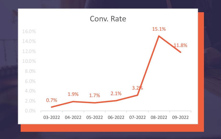 Analyzing the Effectiveness of Customized Google Ads